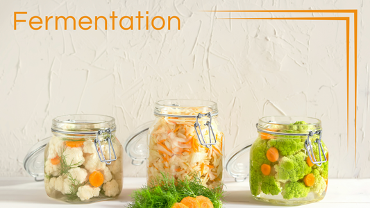 Die Kunst der Fermentation
